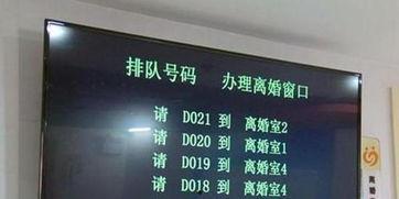 离婚新闻爆料热线电话,见证家庭变故的隐秘通道  第3张