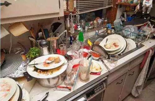 吃瓜厨房洗碗的网红,揭秘厨房清洁背后的辛酸与欢乐 第1张 吃瓜厨房洗碗的网红,揭秘厨房清洁背后的辛酸与欢乐 第1张